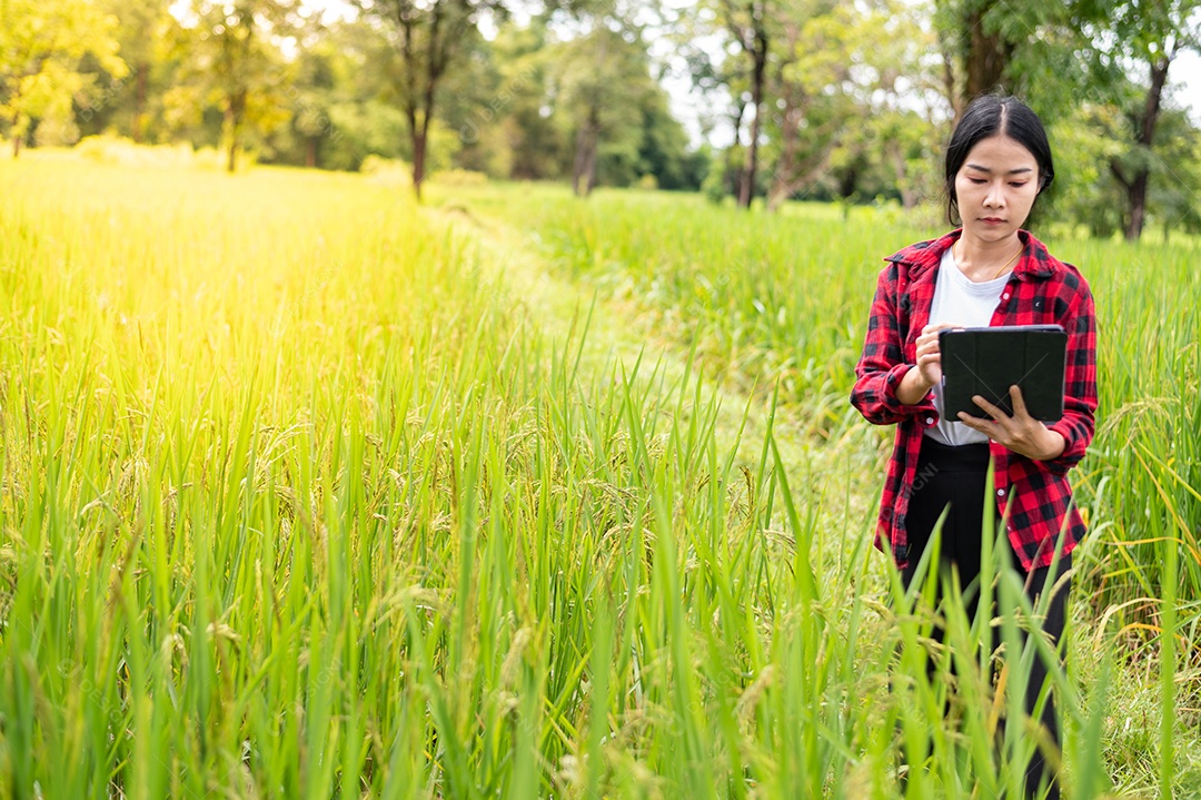 Mulher agricultora segurando um tablet e fazendo analise das plantações