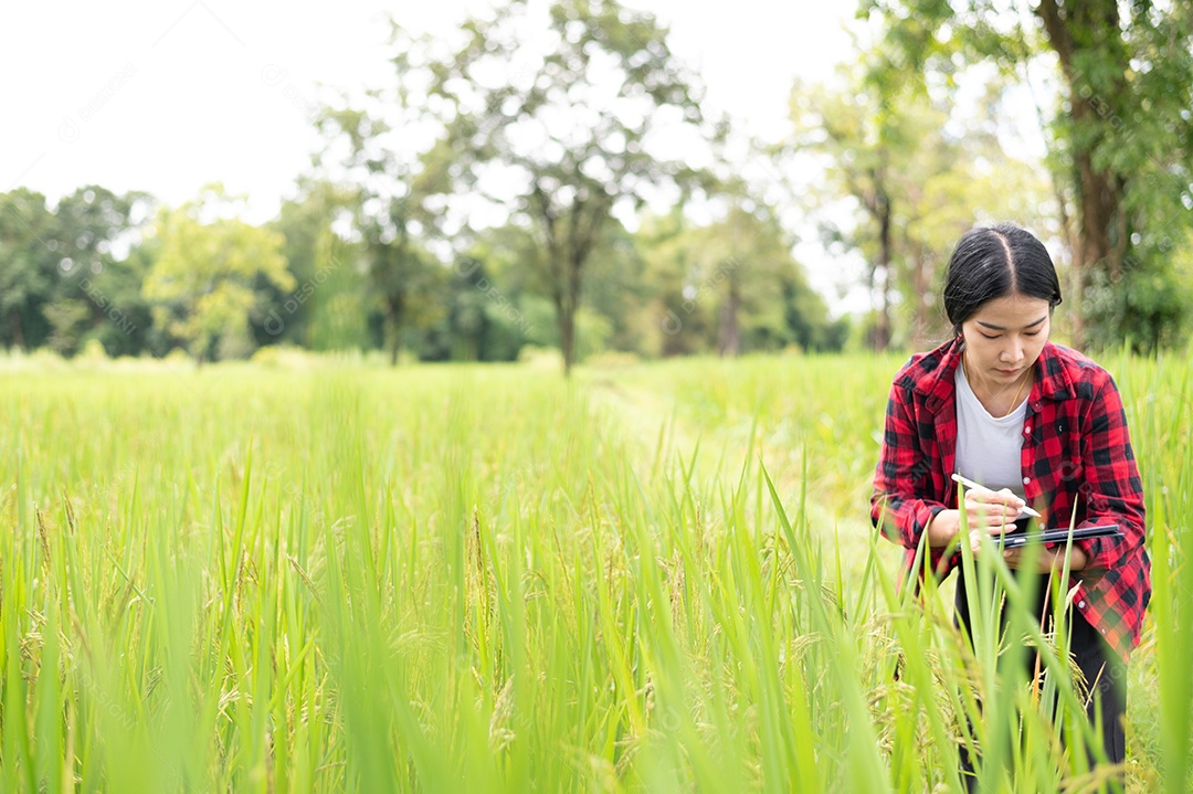 Mulher agricultora segurando um tablet e fazendo analise das plantações