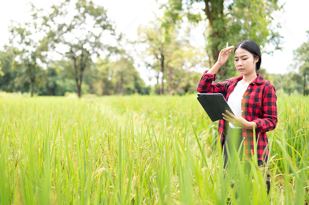 Mulher agricultora segurando um tablet e fazendo analise das plantações