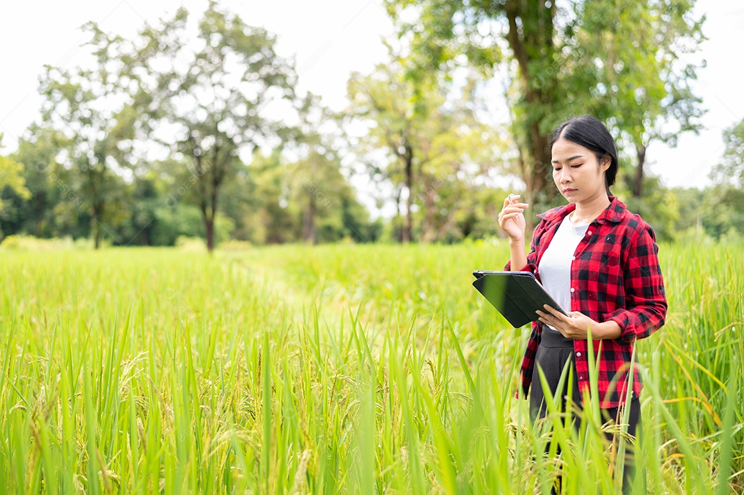 Mulher agricultora segurando um tablet e fazendo analise das plantações