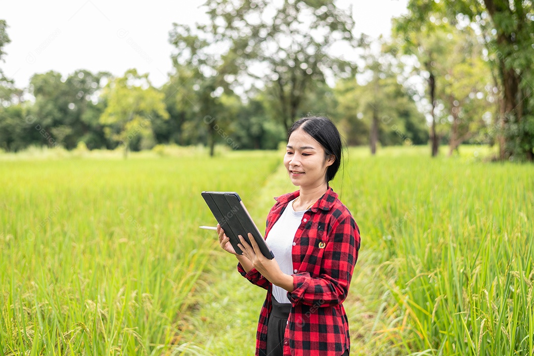 Mulher agricultora segurando um tablet e fazendo analise das plantações