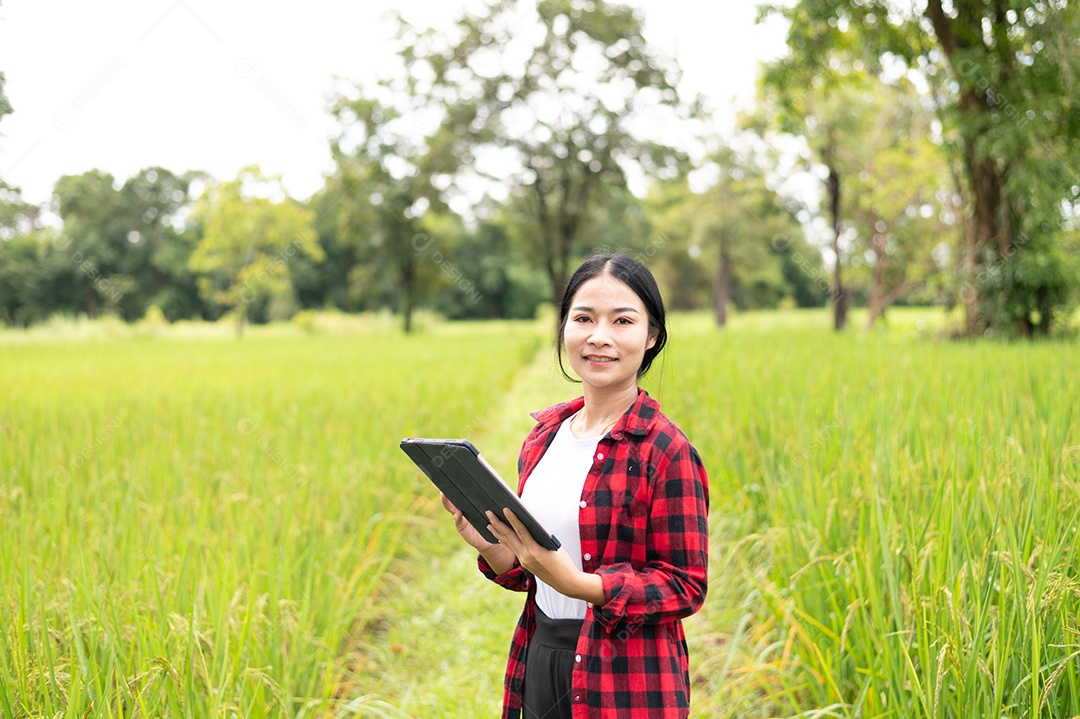 Mulher agricultora segurando um tablet e fazendo analise das plantações