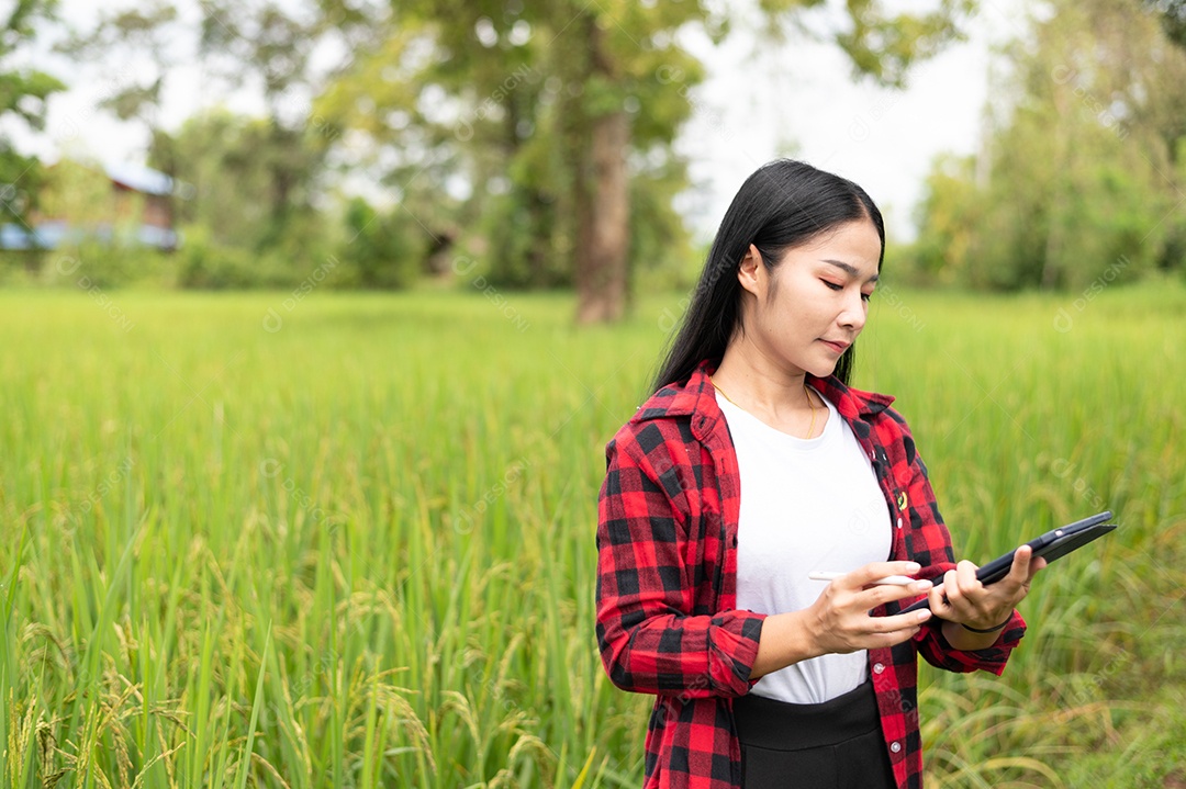 Mulher agricultora segurando um tablet e fazendo analise das plantações