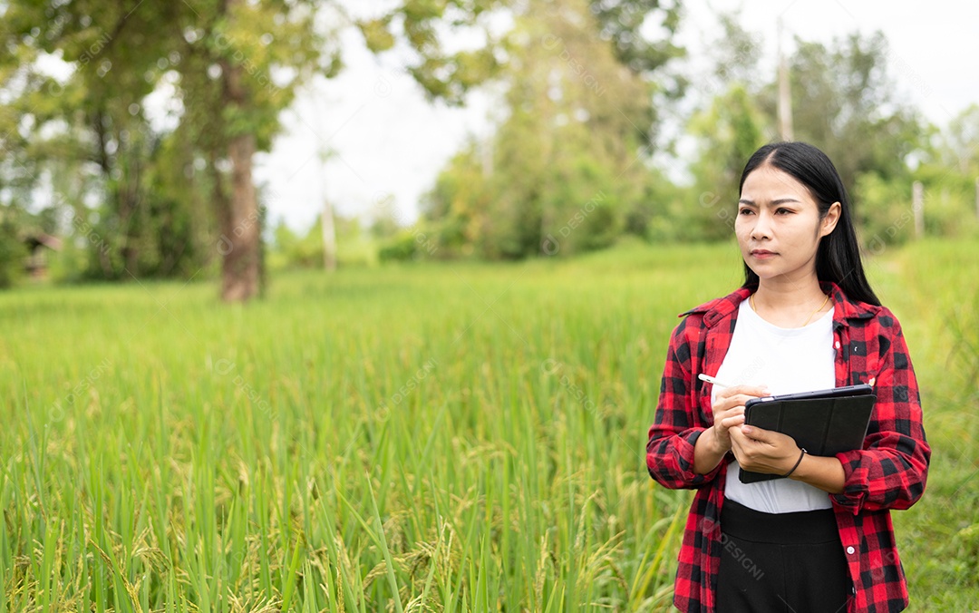 Mulher agricultora segurando um tablet e fazendo analise das plantações