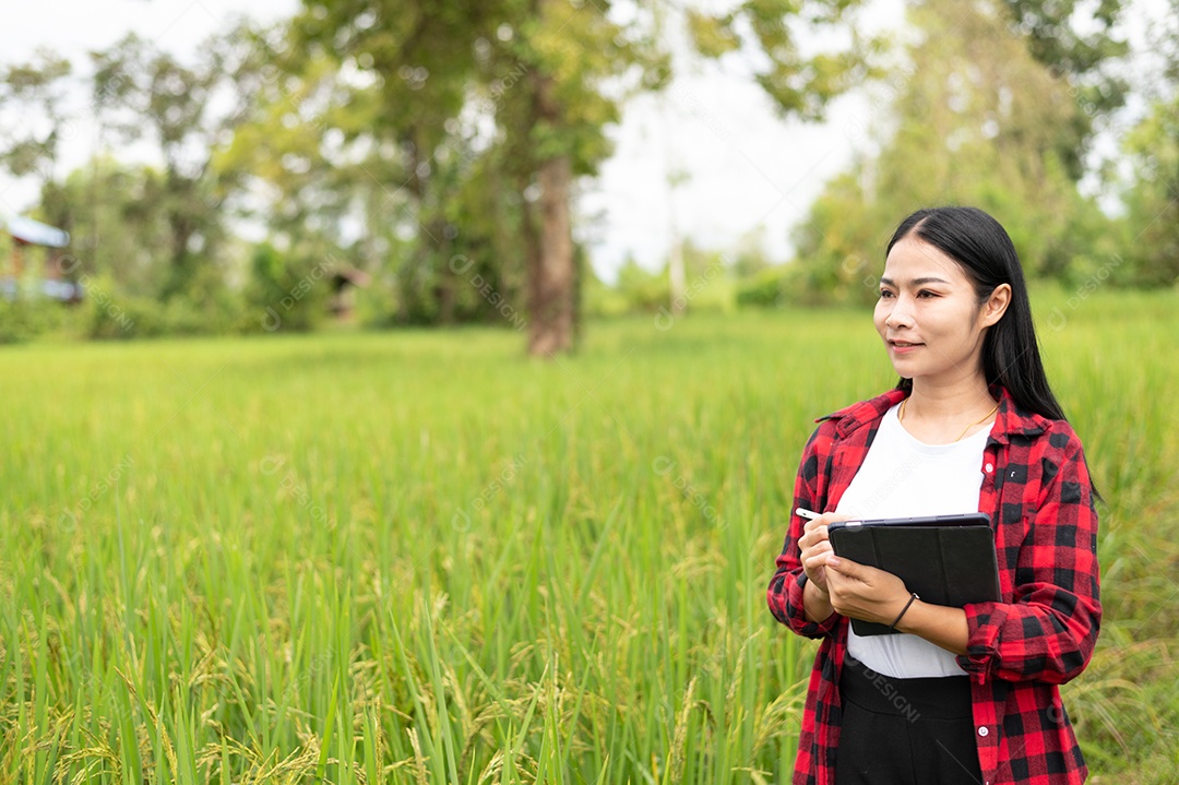 Mulher agricultora segurando um tablet e fazendo analise das plantações
