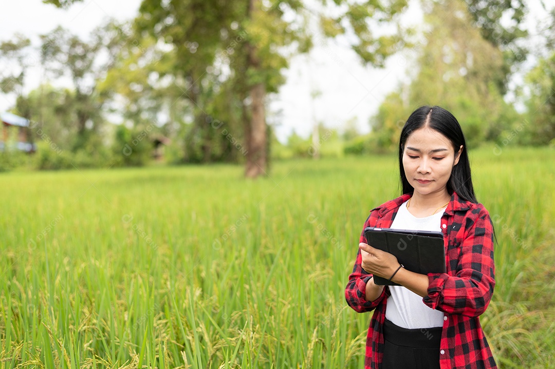 Mulher agricultora segurando um tablet e fazendo analise das plantações