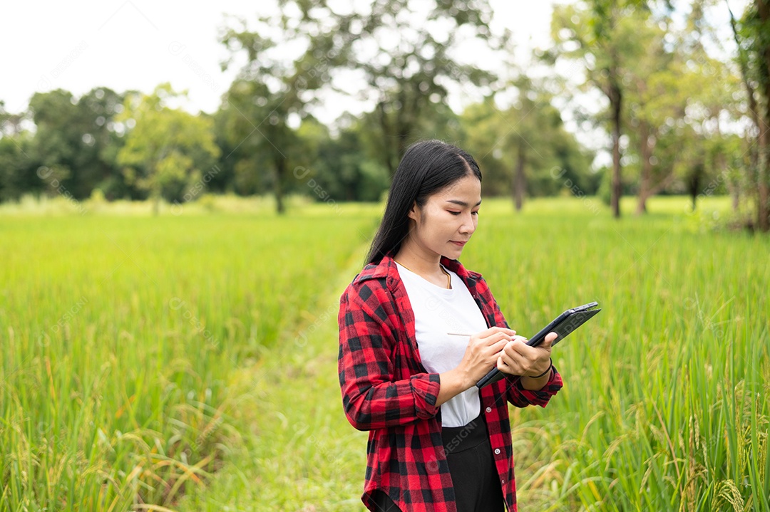 Mulher agricultora segurando um tablet e fazendo analise das plantações