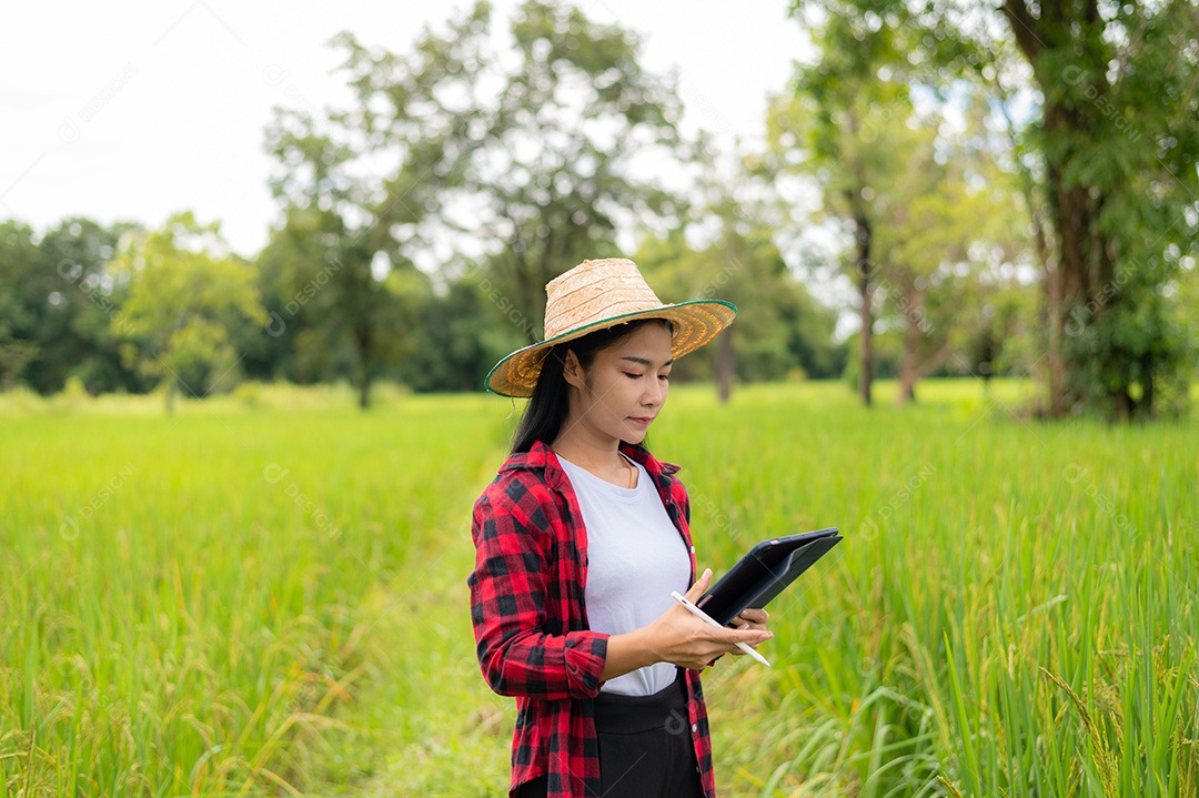 Mulher agricultora segurando um tablet e fazendo analise das plantações