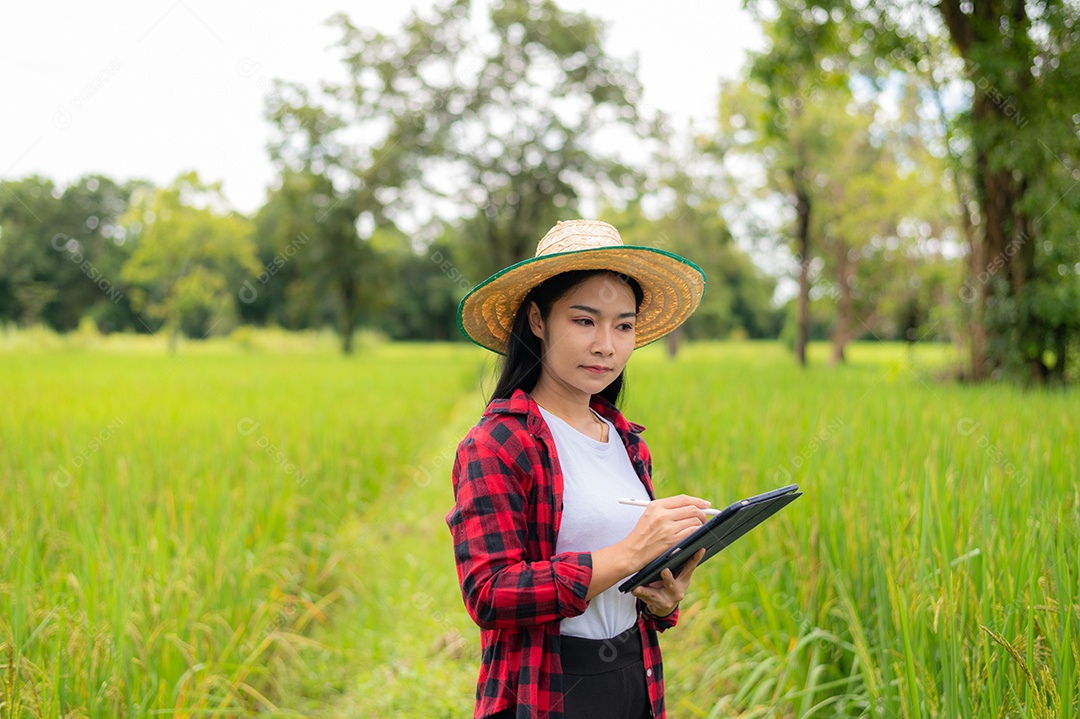 Mulher agricultora segurando um tablet e fazendo analise das plantações