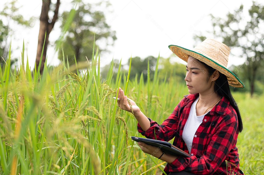 Mulher agricultora segurando um tablet e fazendo analise das plantações