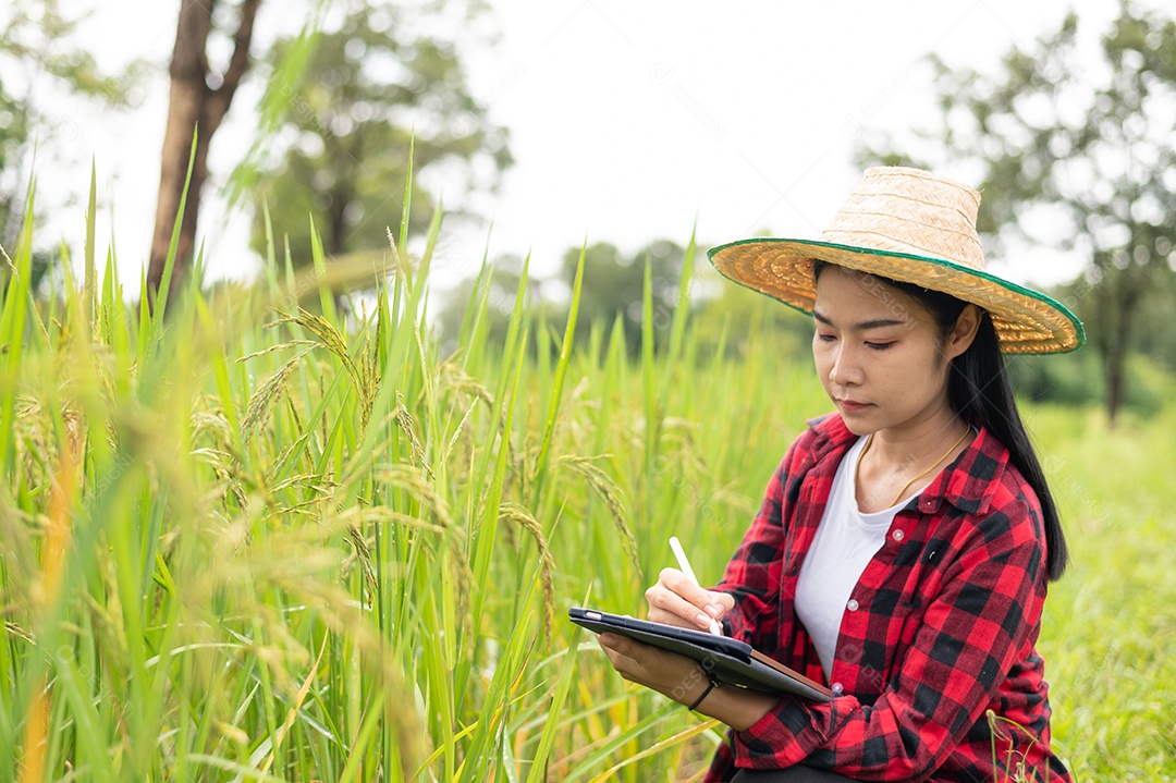 Mulher agricultora segurando um tablet e fazendo analise das plantações