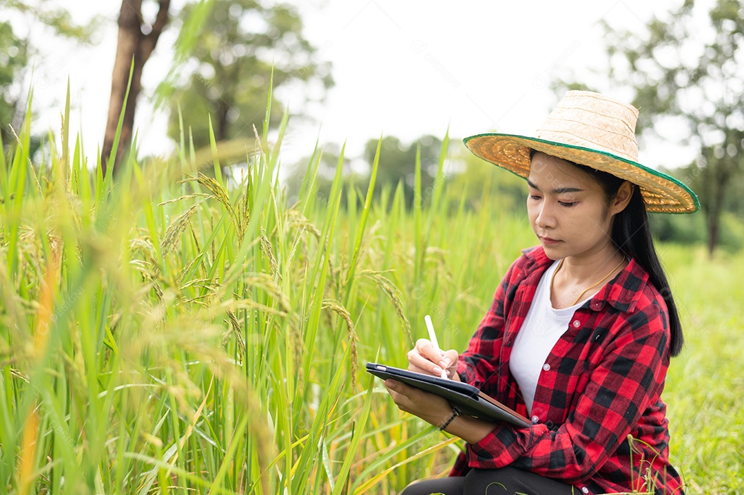 Mulher agricultora segurando um tablet e fazendo analise das plantações