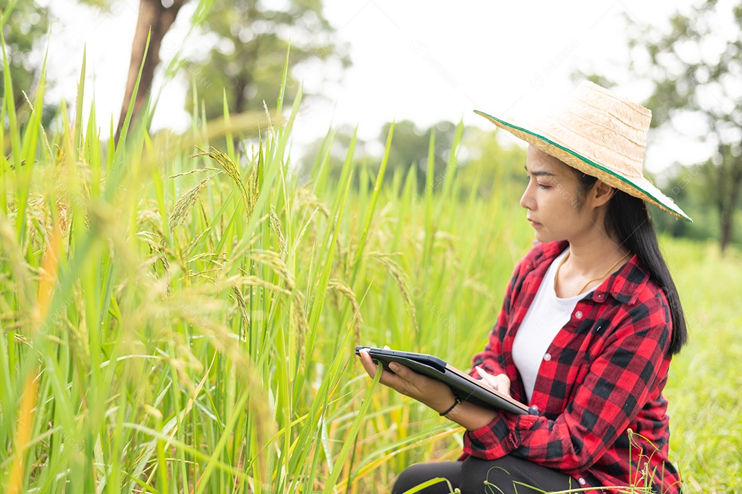 Mulher agricultora segurando um tablet e fazendo analise das plantações