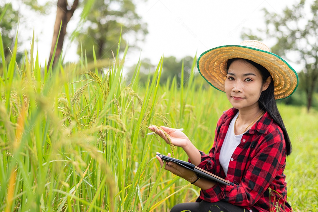 Mulher agricultora segurando um tablet e fazendo analise das plantações