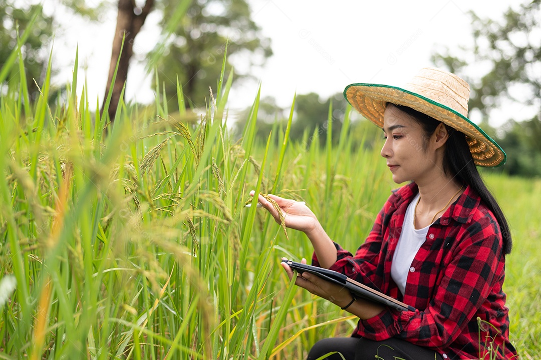 Mulher agricultora segurando um tablet e fazendo analise das plantações