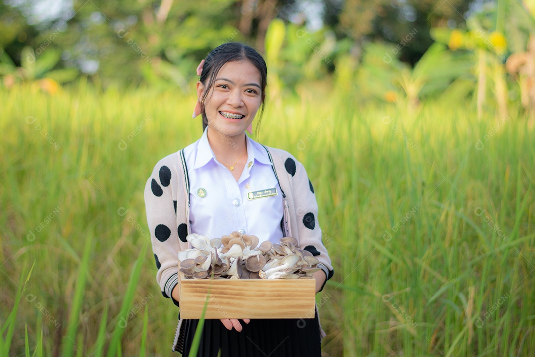 Mulher agricultora segurando a sua colheita de cogumelos no campo