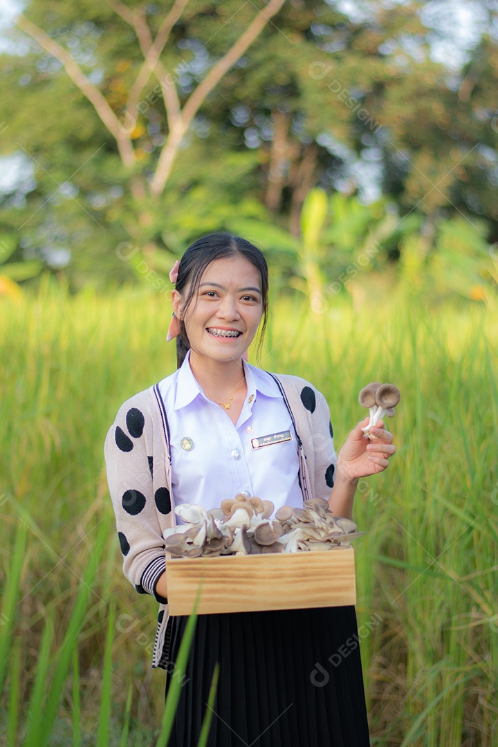 Mulher agricultora segurando a sua colheita de cogumelos no campo