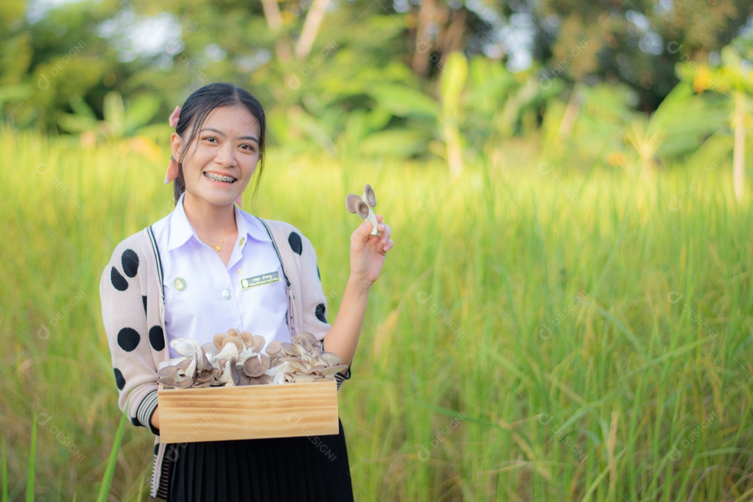 Mulher agricultora segurando a sua colheita de cogumelos no campo