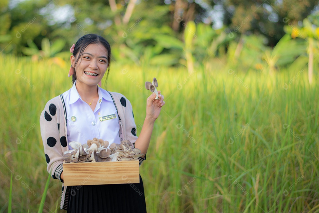 Mulher agricultora segurando a sua colheita de cogumelos no campo