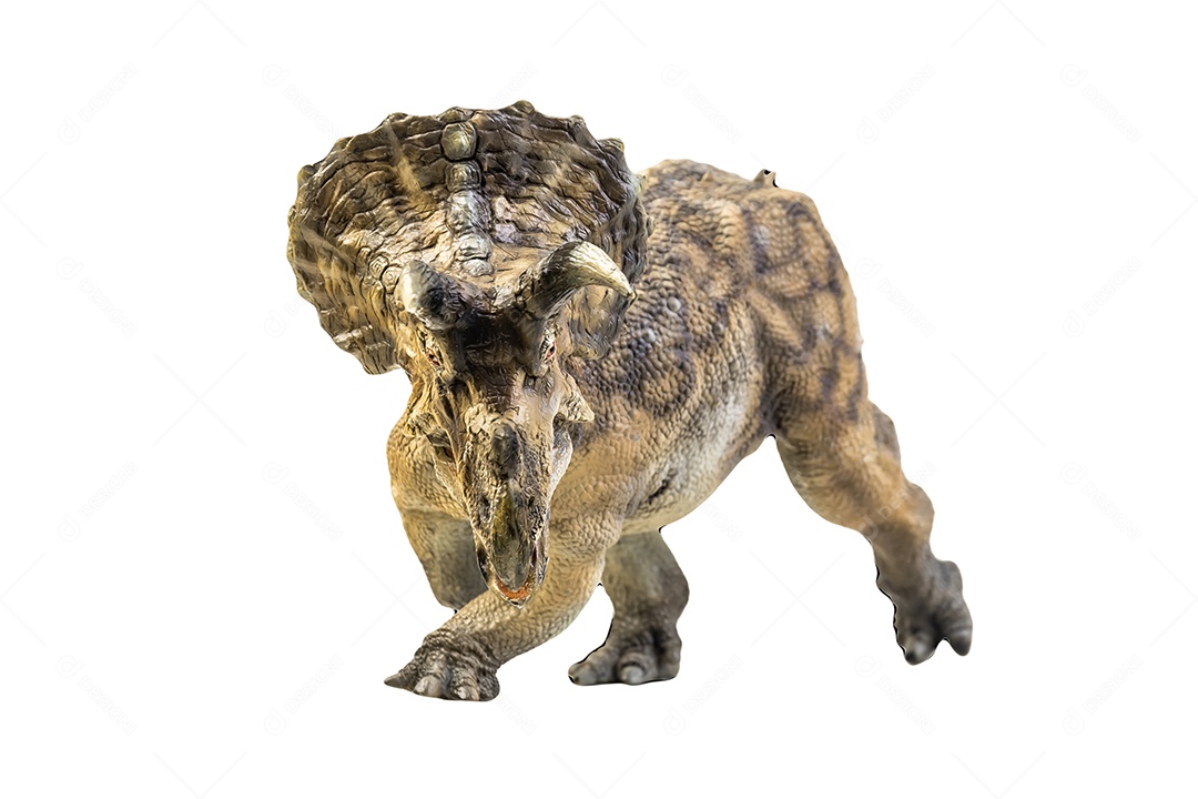 Dinossauro, Triceratops no traçado de recorte de fundo isolado