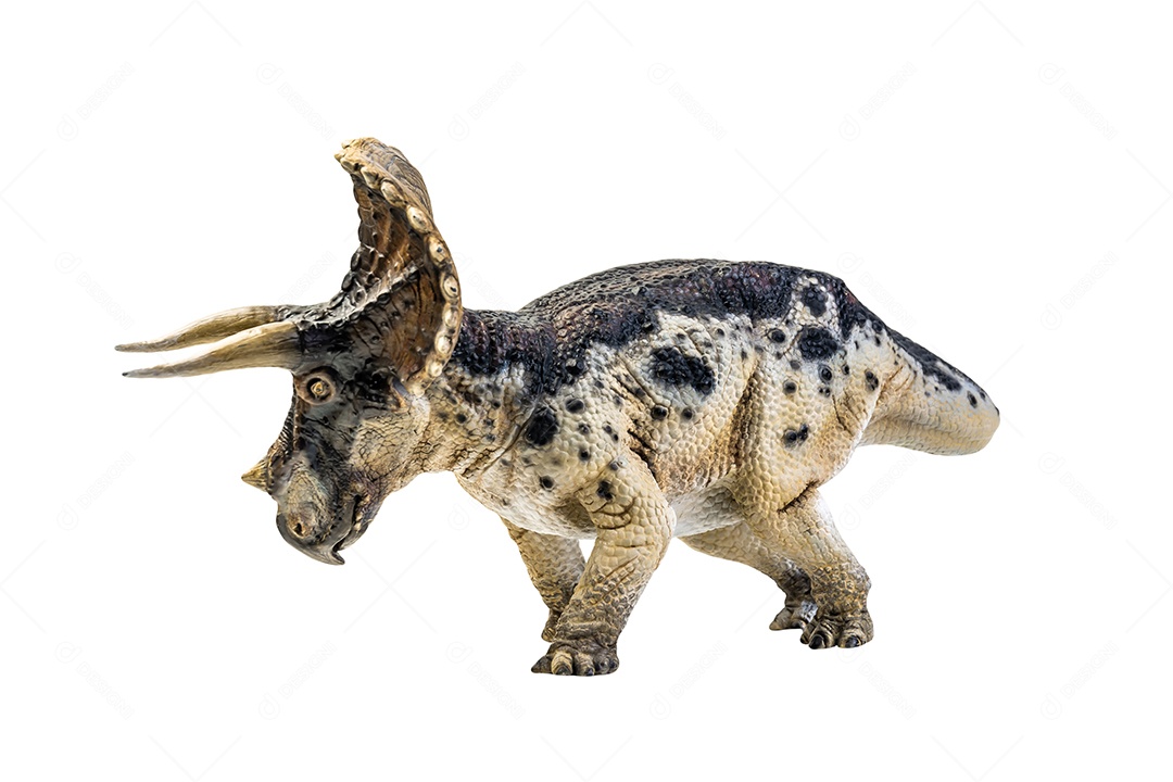 Dinossauro, Triceratops no traçado de recorte de fundo isolado