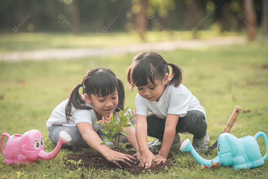 Irmãs asiáticas plantando árvore jovens plantando arvores