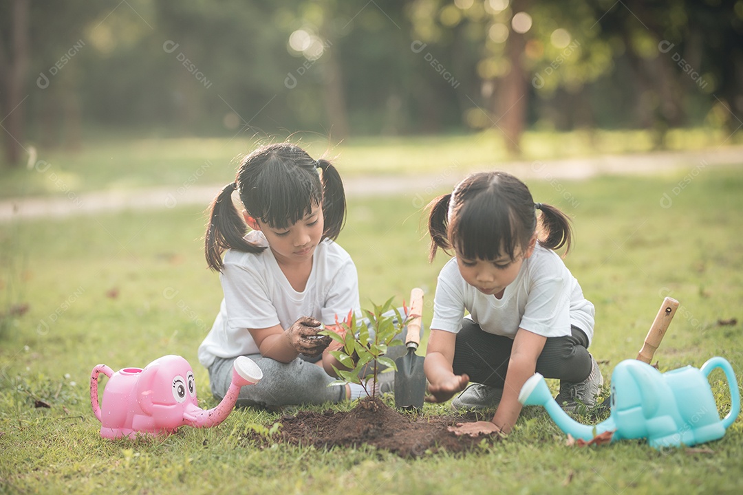 Irmãs asiáticas plantando árvore jovens plantando arvores