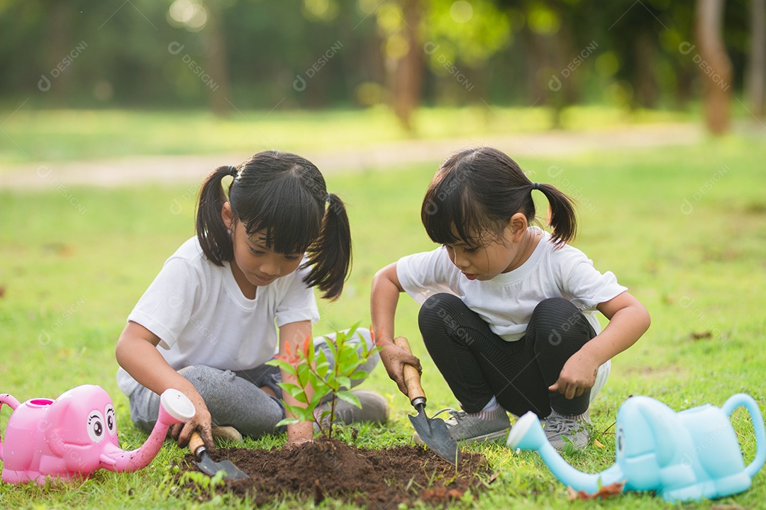 Irmãs asiáticas plantando árvore jovens plantando arvores