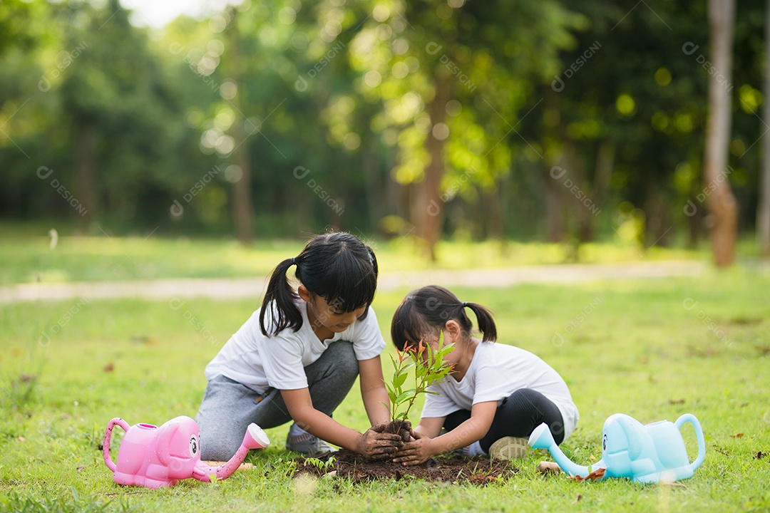 Irmãs asiáticas plantando árvore jovens plantando arvores