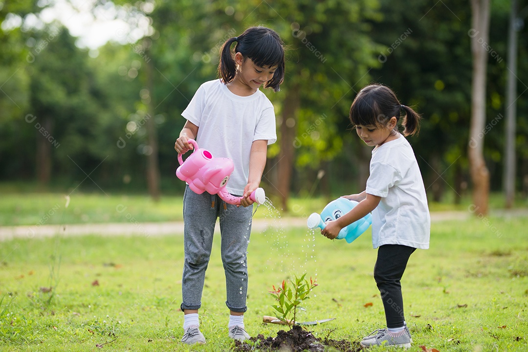 Irmãs asiáticas regando árvore jovem no dia de verão