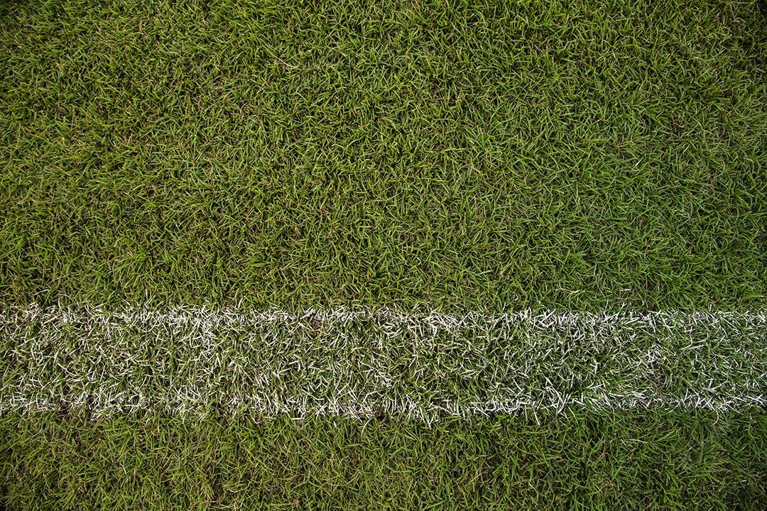 Textura de quadra dura verde de remo tênis com linha branca pode ser usada.