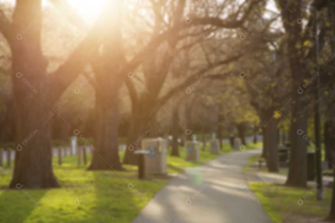 Resumo desfocado ao ar livre e pôr do sol no jardim para trás