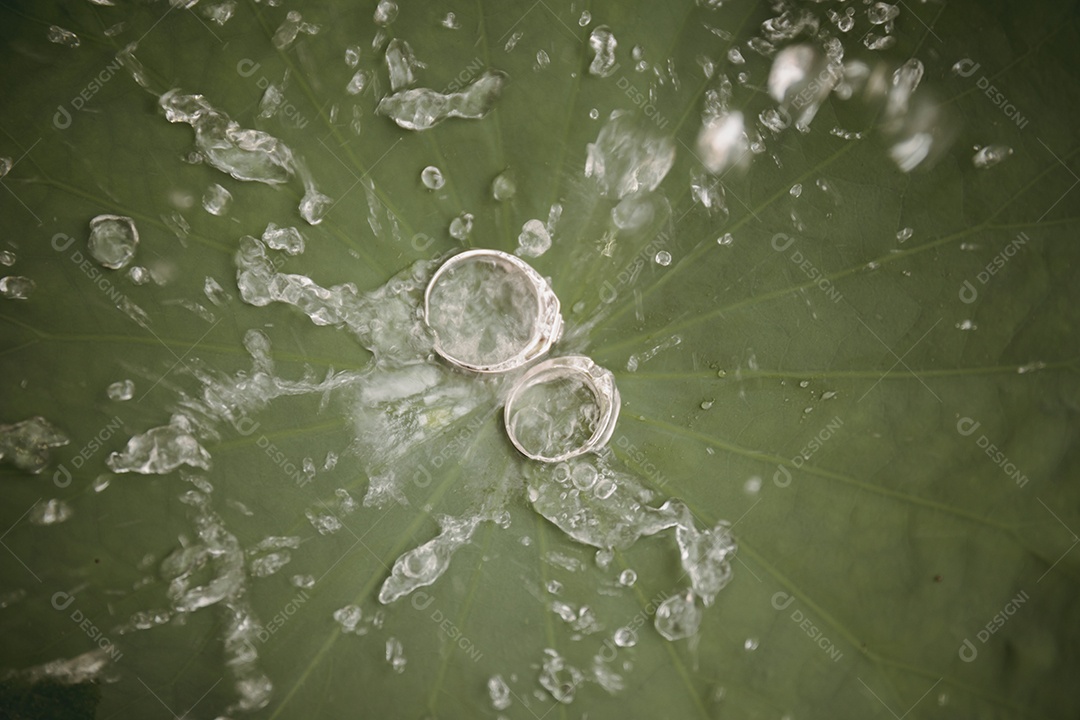 Anéis de casamento, estilo de imagem vintage