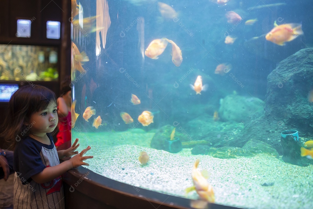 menina observando peixes no aquário, crianças aprendem a vida subaquática