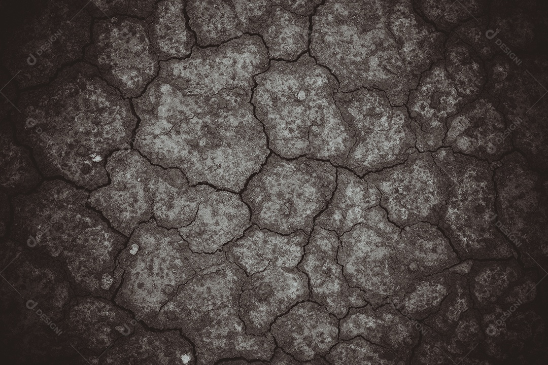 Superfície de uma terra ressequida seca e suja para costas texturais.