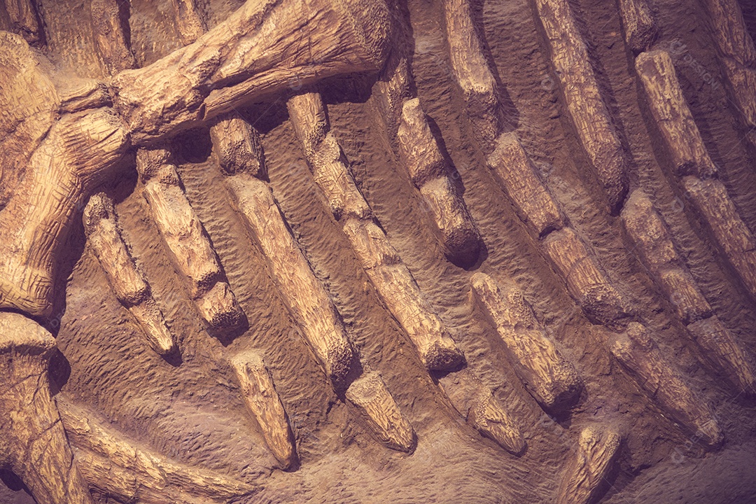 Fóssil de dinossauro cor vintage.