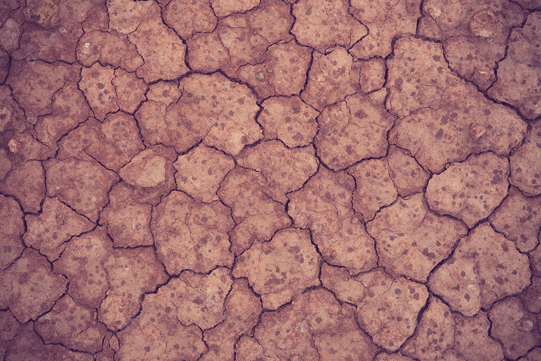 Cor vintage rachada e estéril