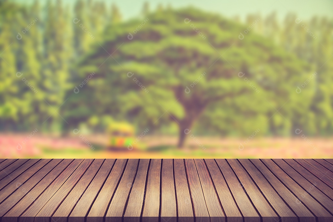 Floresta verde e pôr do sol. pode ser usado para exibição