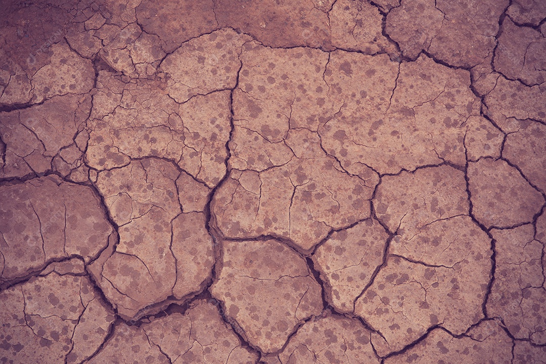 Solo rachado e estéril.