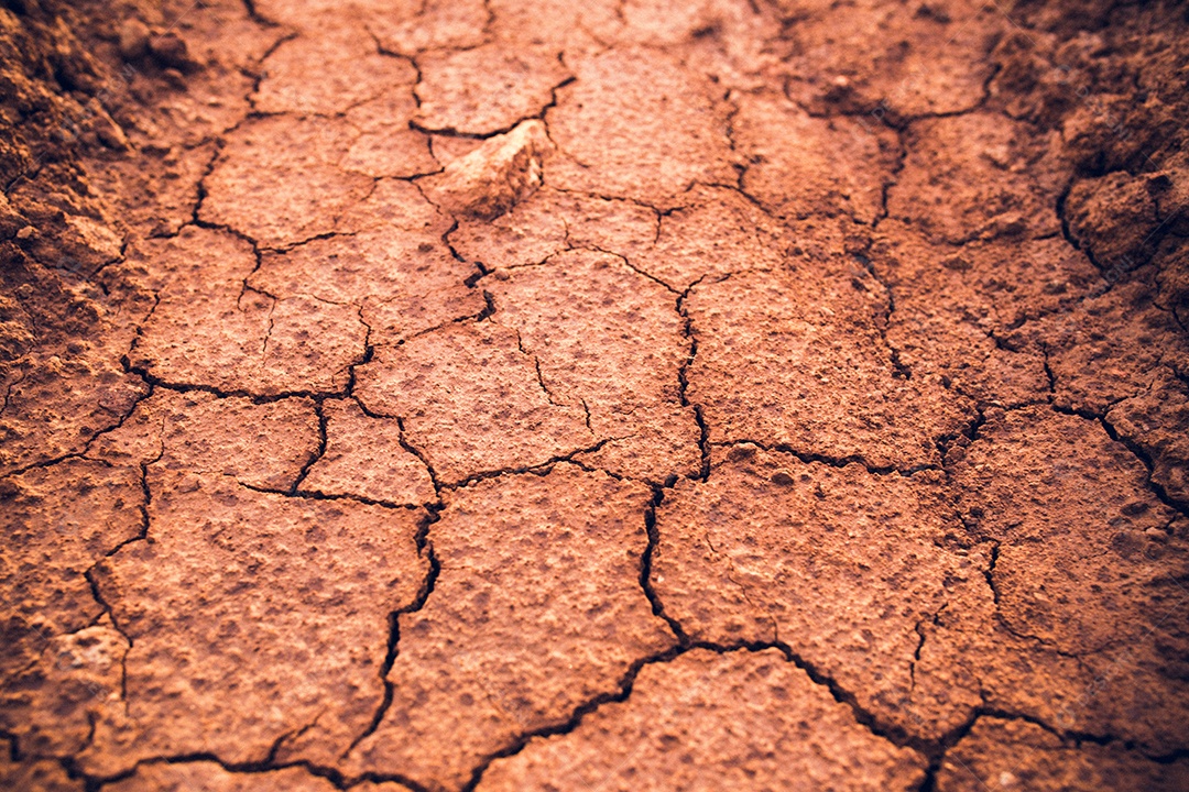 Solo rachado e estéril.