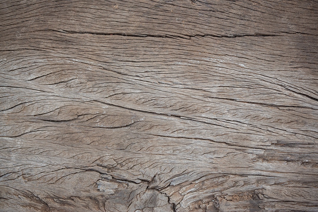 Textura de madeira. Fundo abstrato, modelo vazio.