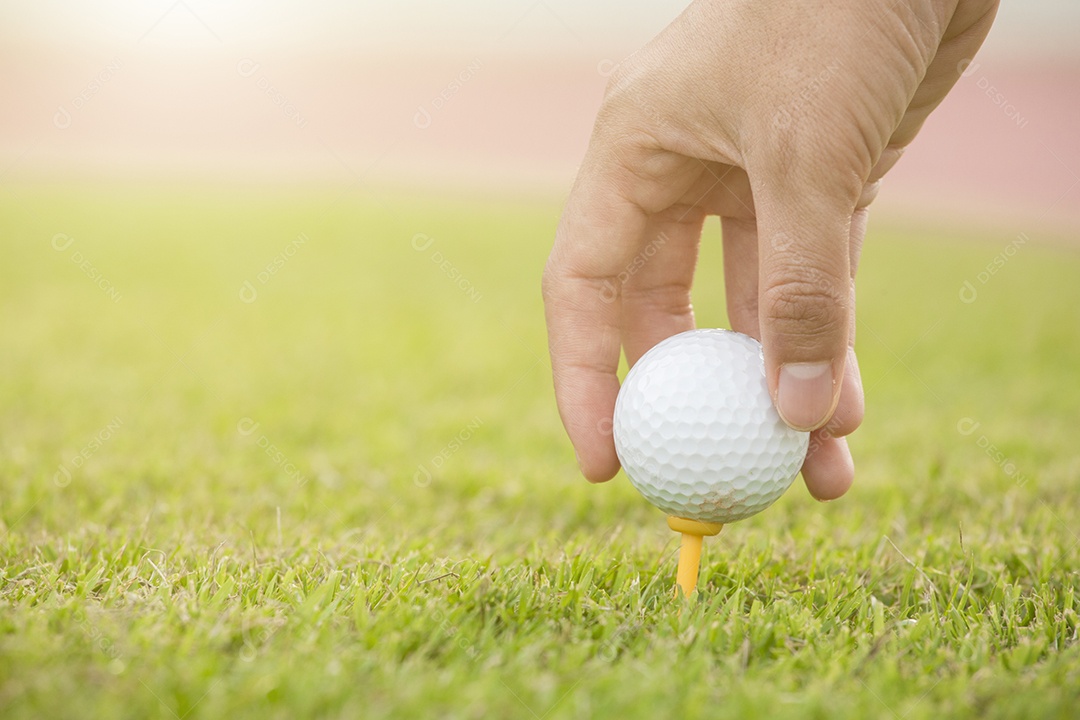 Mão segure a bola de golfe