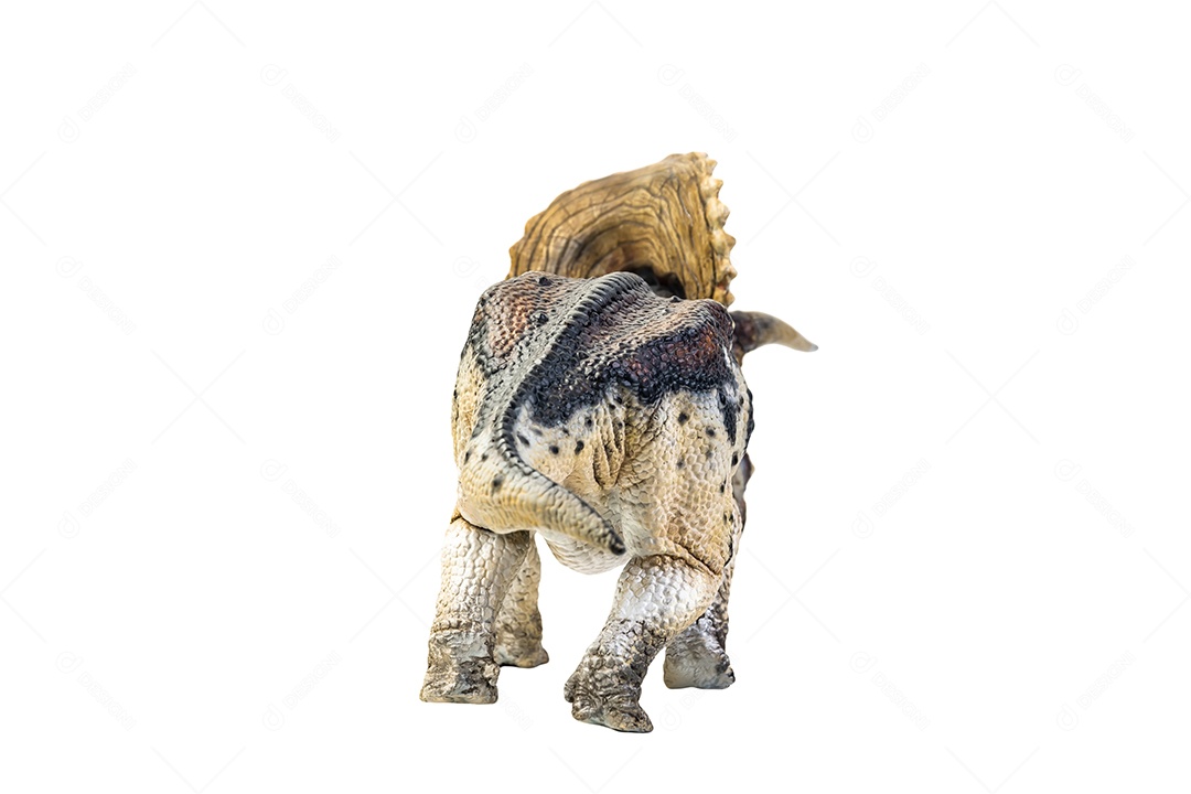 Dinossauro, Triceratops no traçado de recorte de fundo isolado