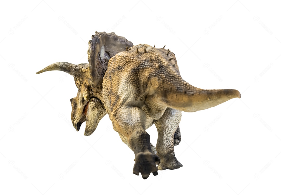 Dinossauro, Triceratops no traçado de recorte de fundo isolado