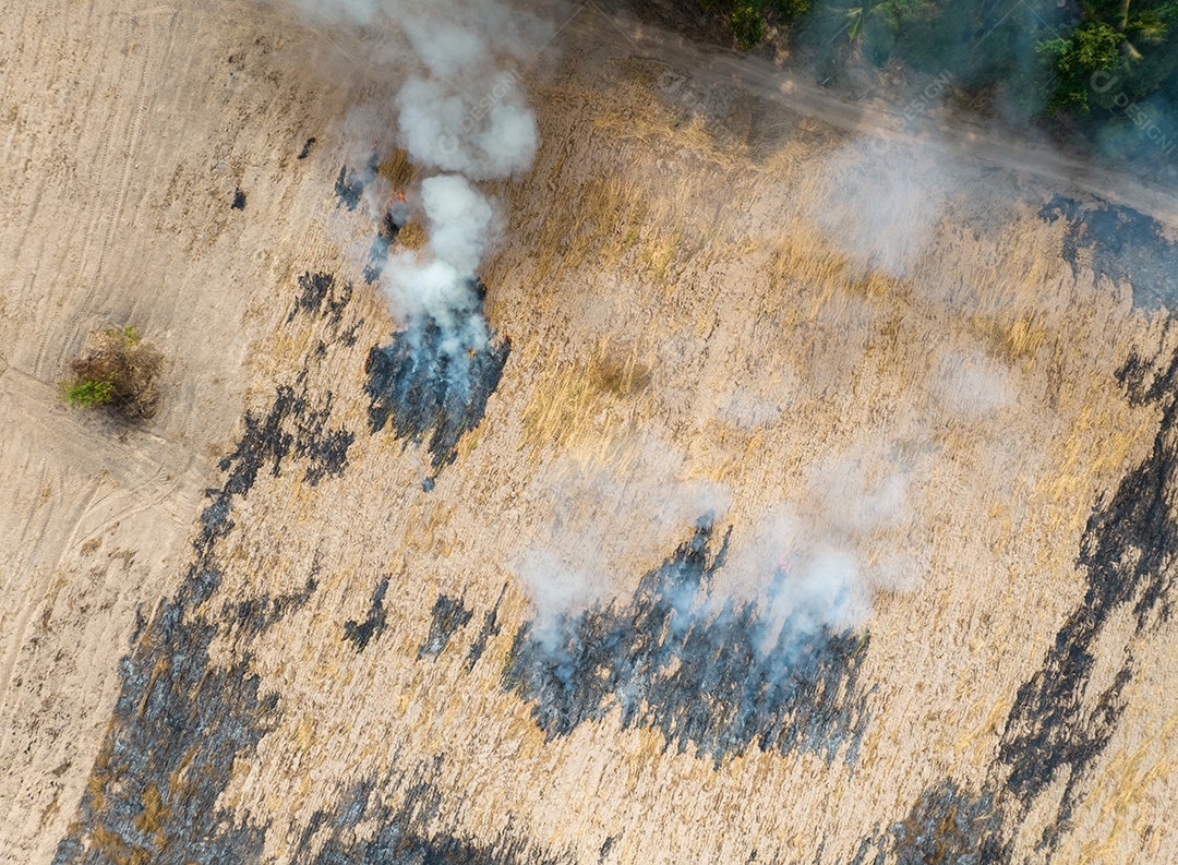 Vista aérea da fazenda agrícola com fumaça de queima de fogo na colheita