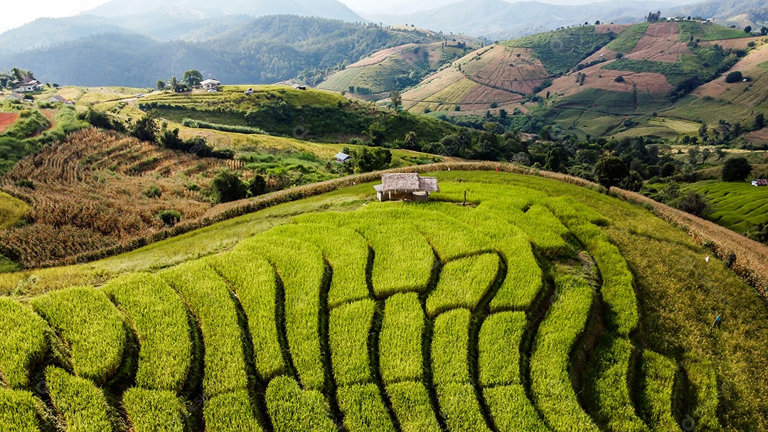 Vista aérea do terraço de arroz Tailândia