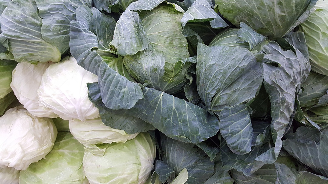 Repolho fresco empilhado à venda no mercado.