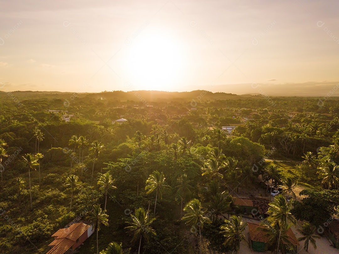 Drone vista aérea do pôr do sol sobre coqueiros em Ilhéus Bahia Brasil.