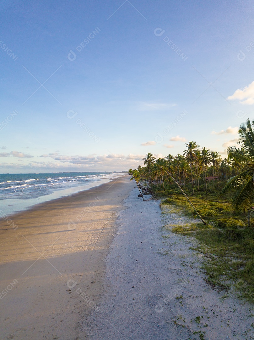 Drone vista aérea da praia tropical deserta em Ilhéus Bahia Brasil.