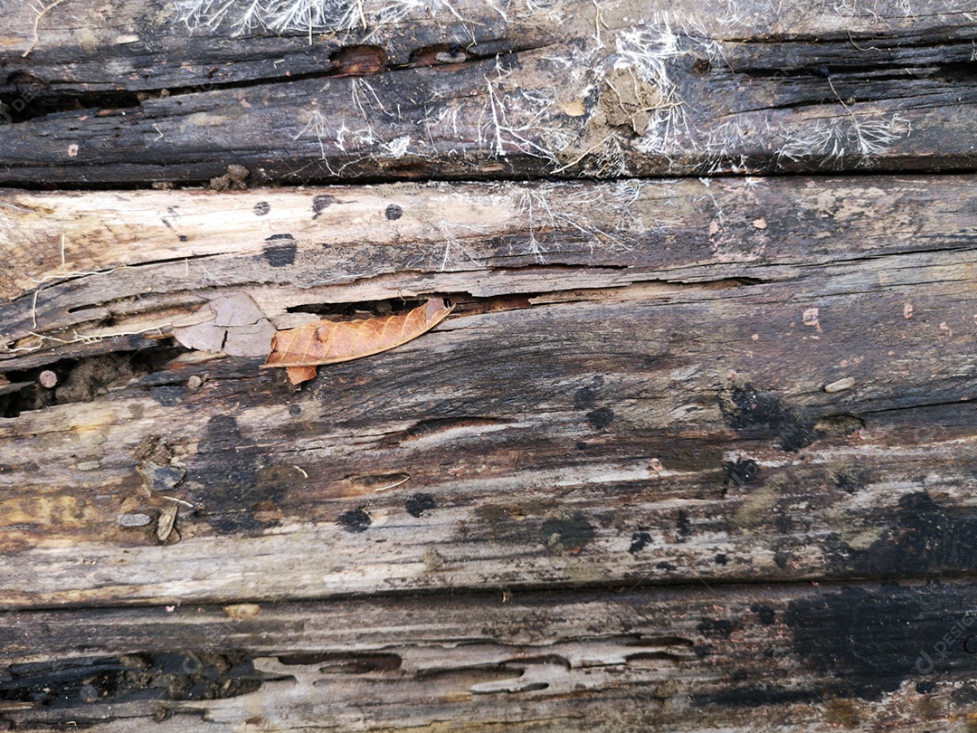 Fundo com textura de madeira envelhecida.